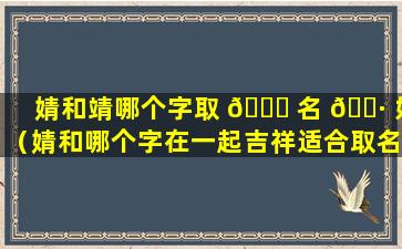 婧和靖哪个字取 🐅 名 🕷 好（婧和哪个字在一起吉祥适合取名）